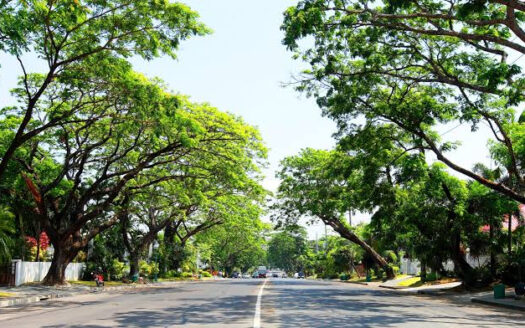 Ayala Alabang Village – Prime 1,580 SQM Vacant Lot Along Country Club Drive (Property Code: DS88-004167)