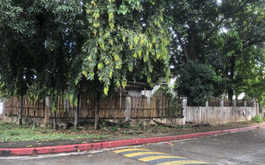Acropolis Subdivision – Prime 650 SQM Corner Lot with 4-Bedroom House for Sale in Quezon City – ₱190M